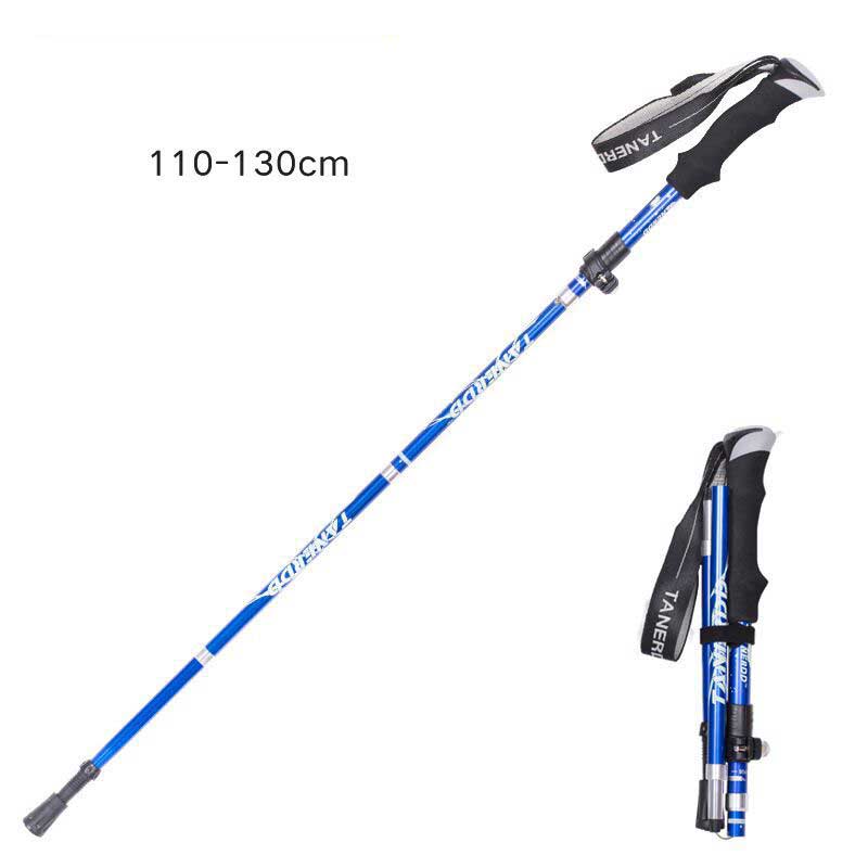 Trekking pole details