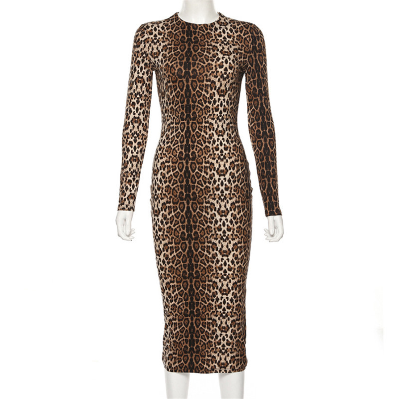 Leopard Print Dress