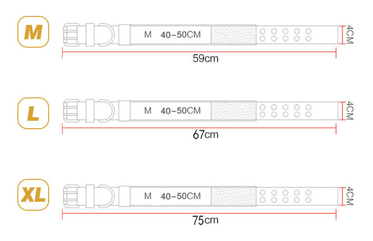 Dog Collar Image 1