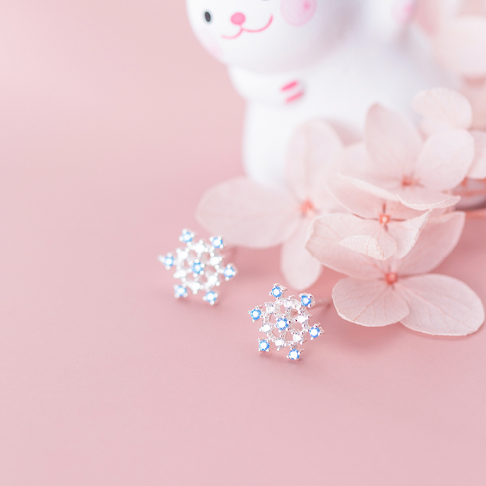 s925 Silver Earrings