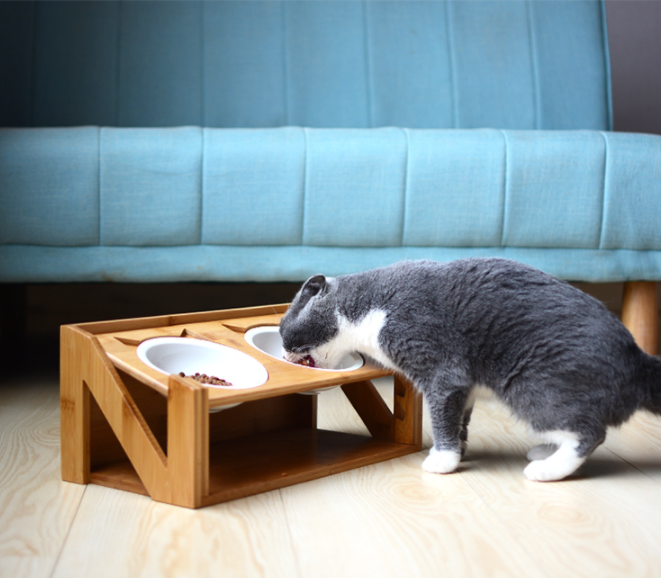 Comfortable Eating Posture