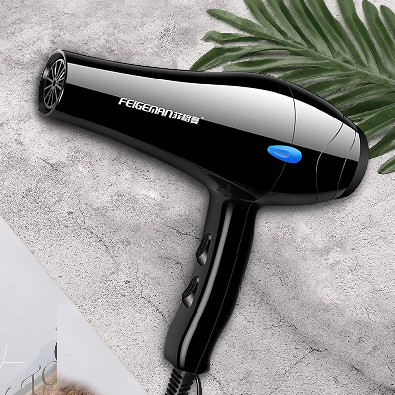 FEIGEMAN Hair Dryer Image 4
