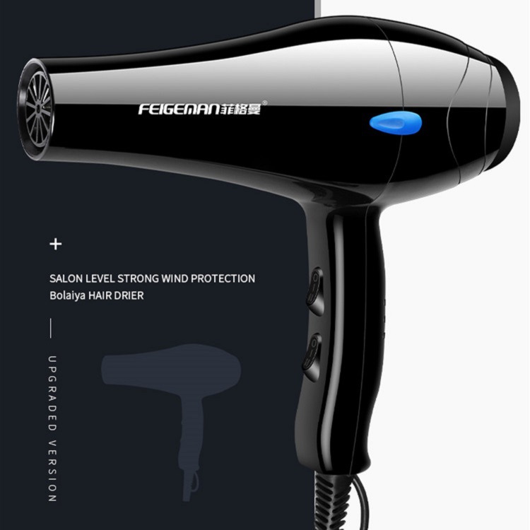 FEIGEMAN Hair Dryer Image 3
