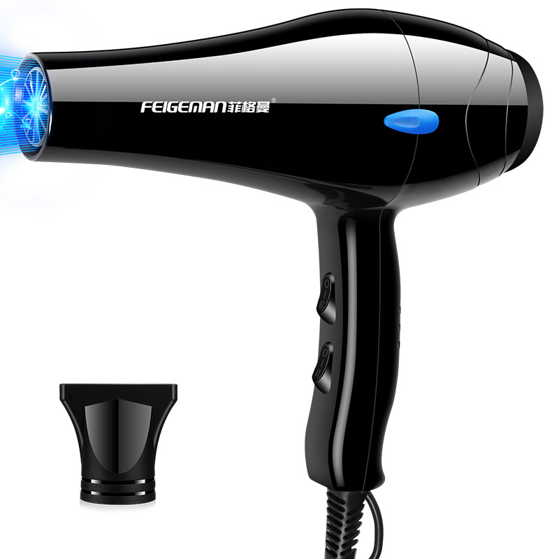 FEIGEMAN Hair Dryer Image 1