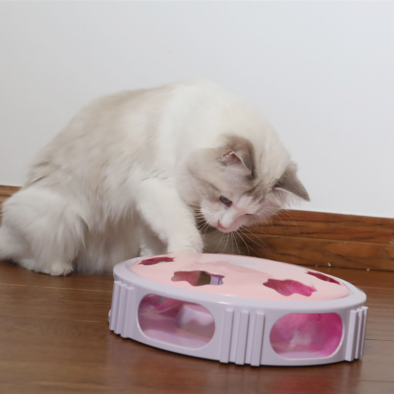 Interactive Feather Cat Toy