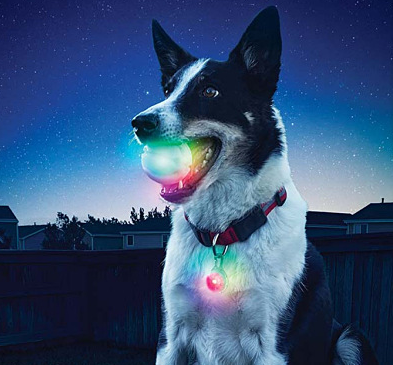 Colorful LED Training Ball