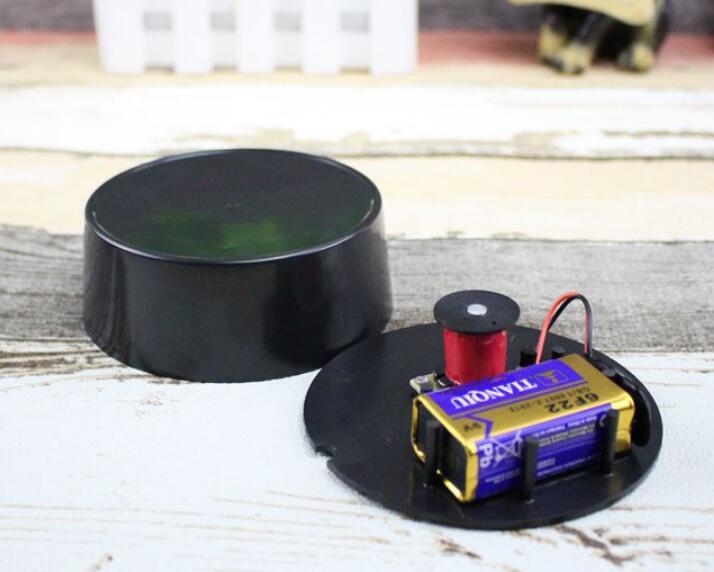 Educational Physics Model