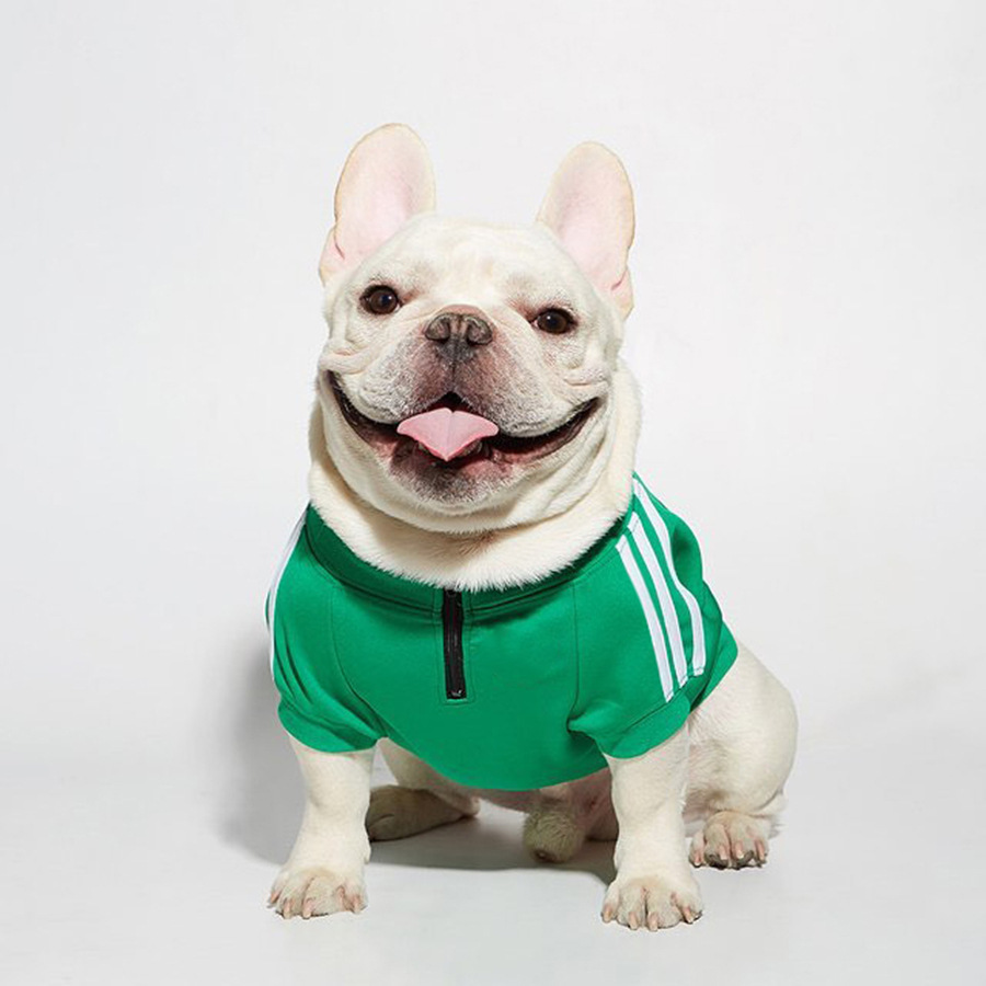 Three Bar Dog Sweater Image 10