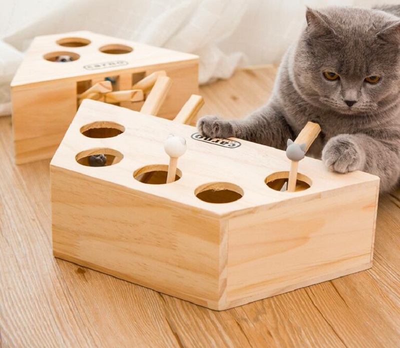 Cat Toy in Use