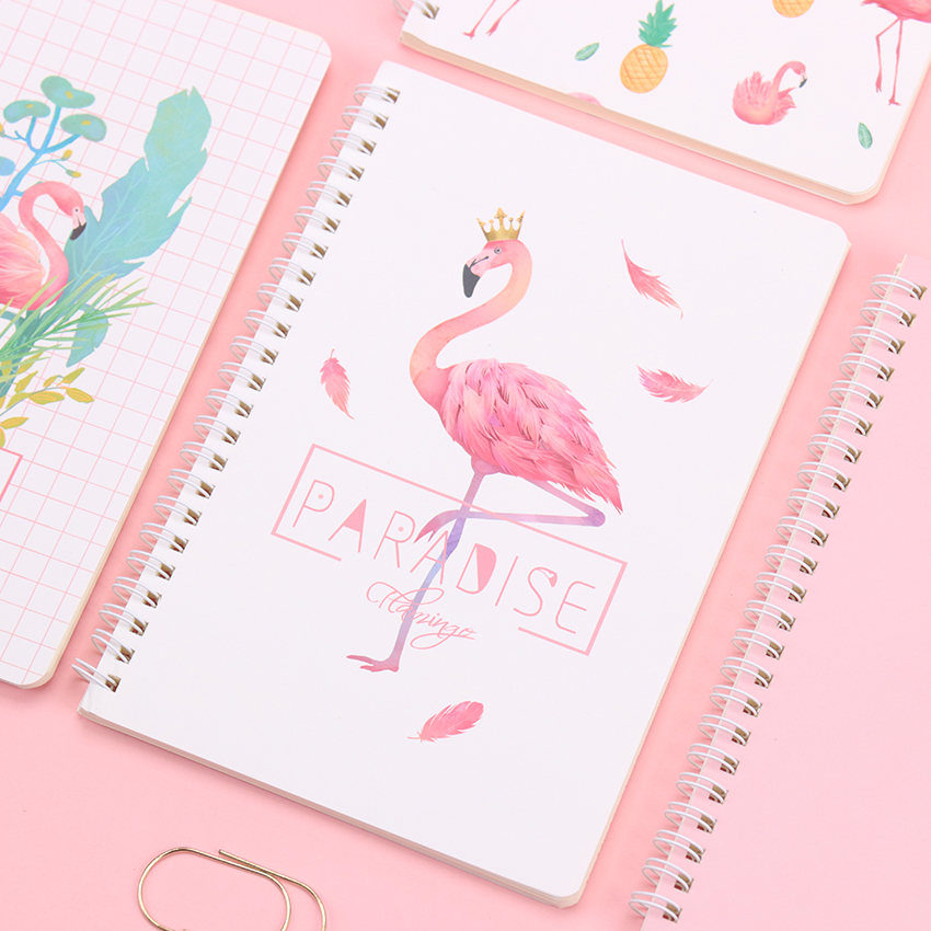 Notebook Image 3