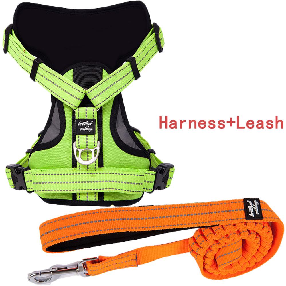 Dog Harness Image 5