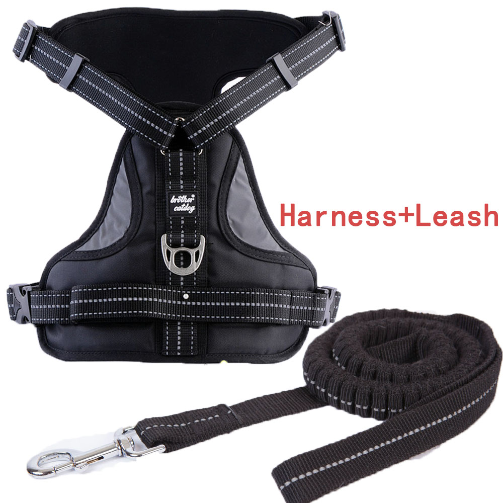 Dog Harness Image 6