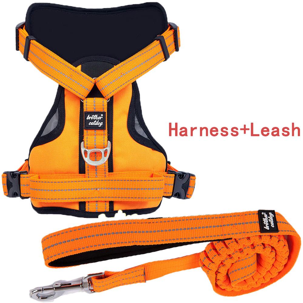 Dog Harness Image 7