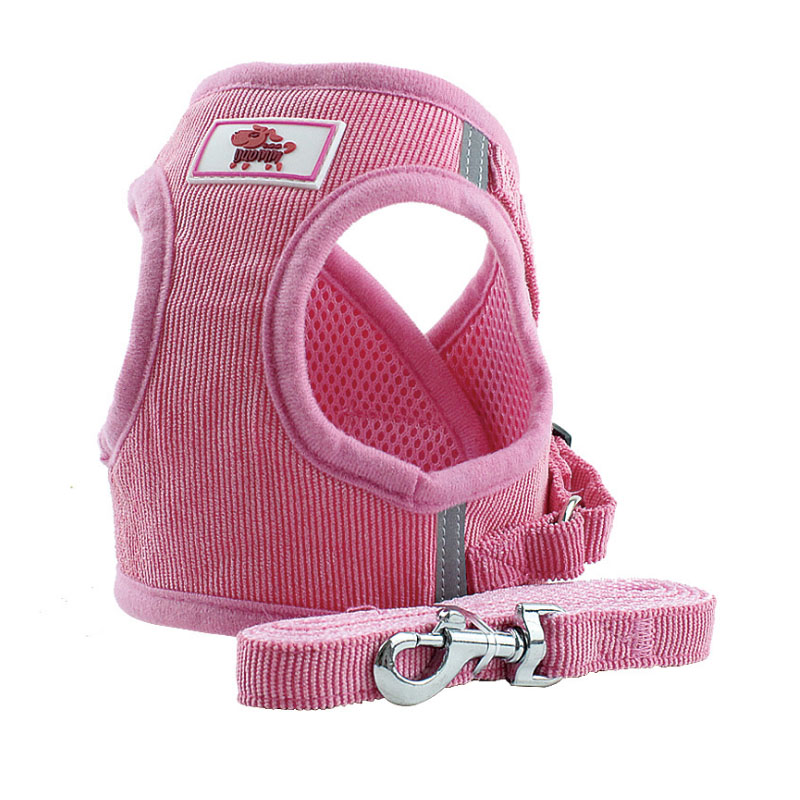 Dog Harness in Use