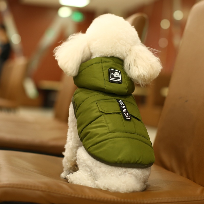 Gilet en coton pour chien 2