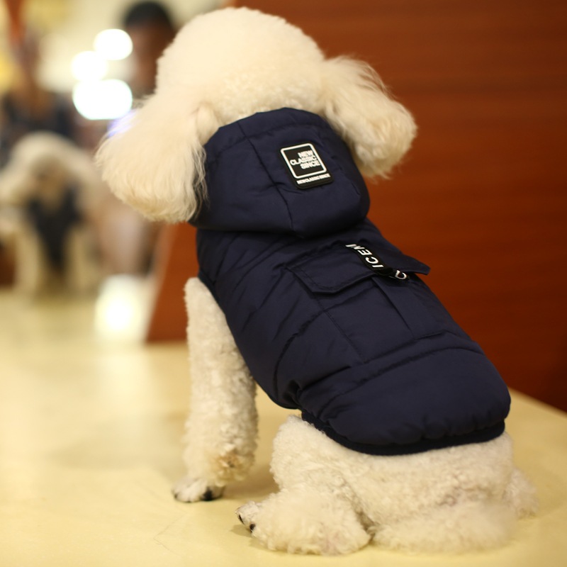 Gilet en coton pour chien 9
