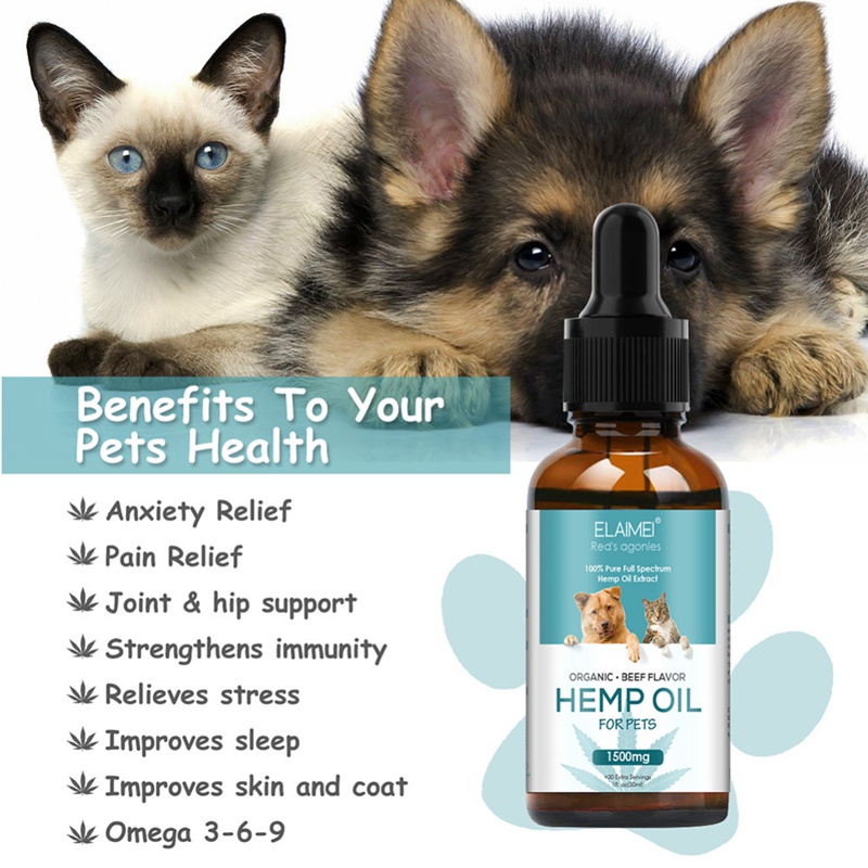 Hemp Oil for Dogs