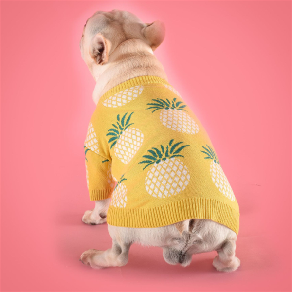 Dog Sweater Image 5