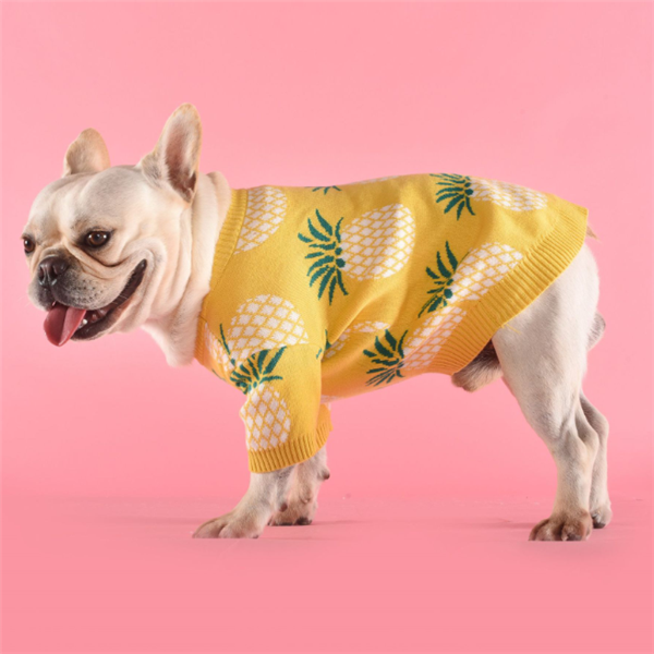 Dog Sweater Image 3