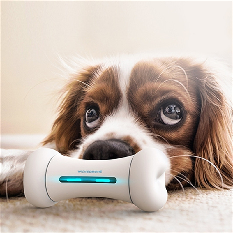 Smart Pet Electric Toy