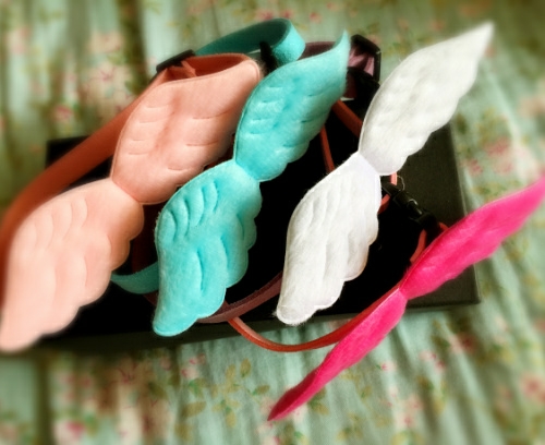 Close-up of Pet Collar