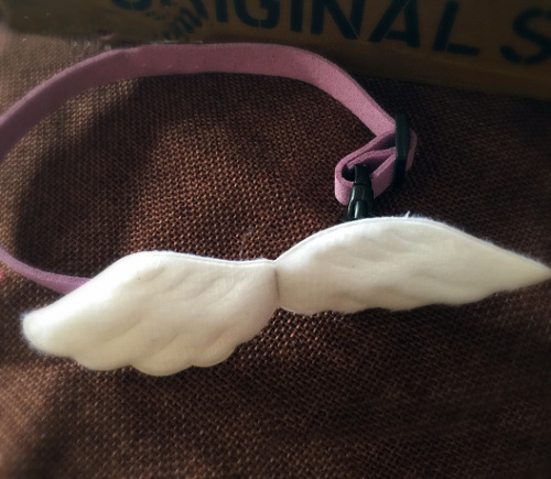 Pet Collar in Action