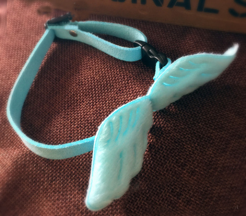 Happy Pets with Collars