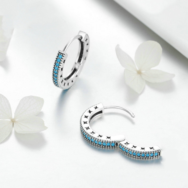 S925 Pure Silver Earrings