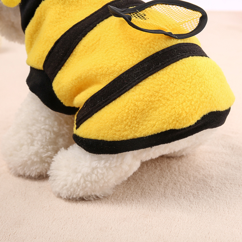 Animal de compagnie en costume d'abeille amusant