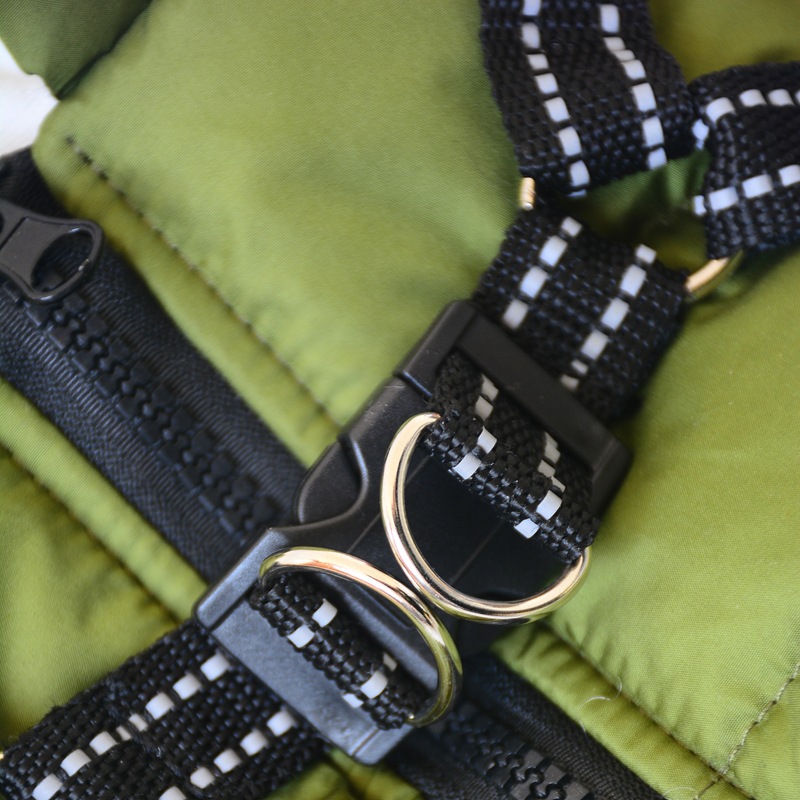 Pet Coat in Green