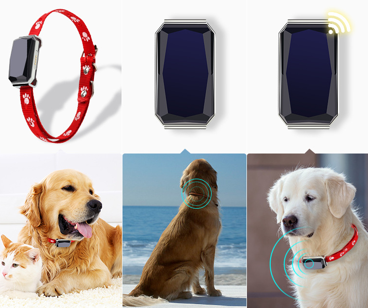 Pet Locator Image 2