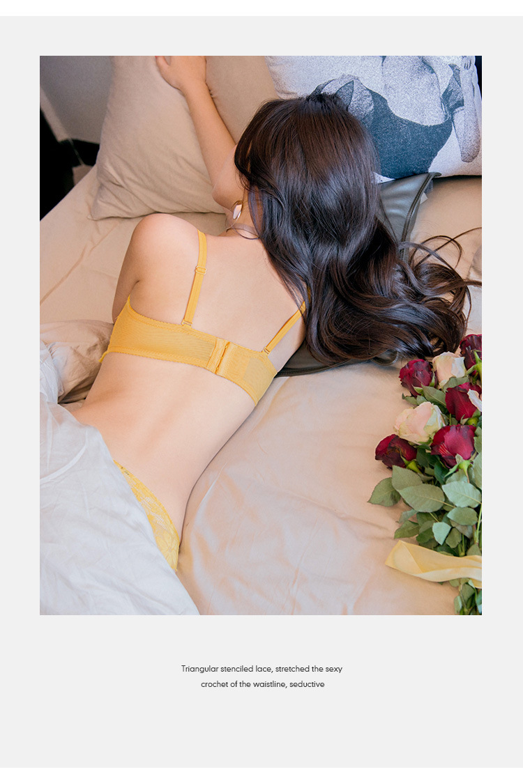 Bra Set Image 1