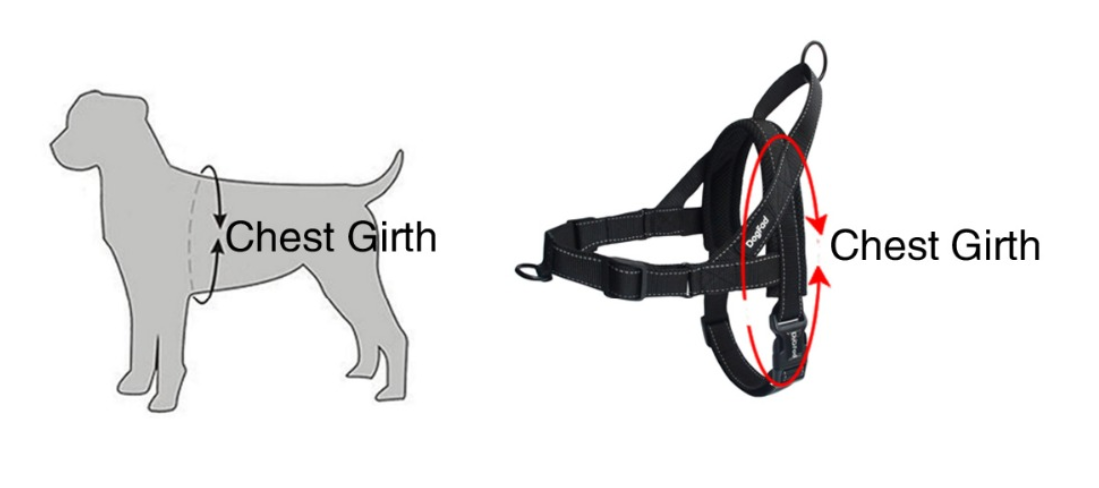 Pet Dog Harness 2