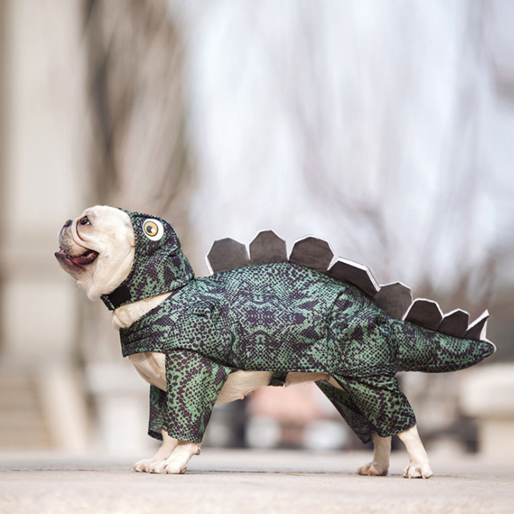 Dinosaur Dog Costume - Image 4