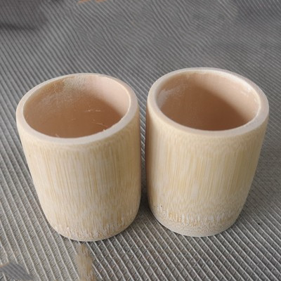 Bamboo Cup 1