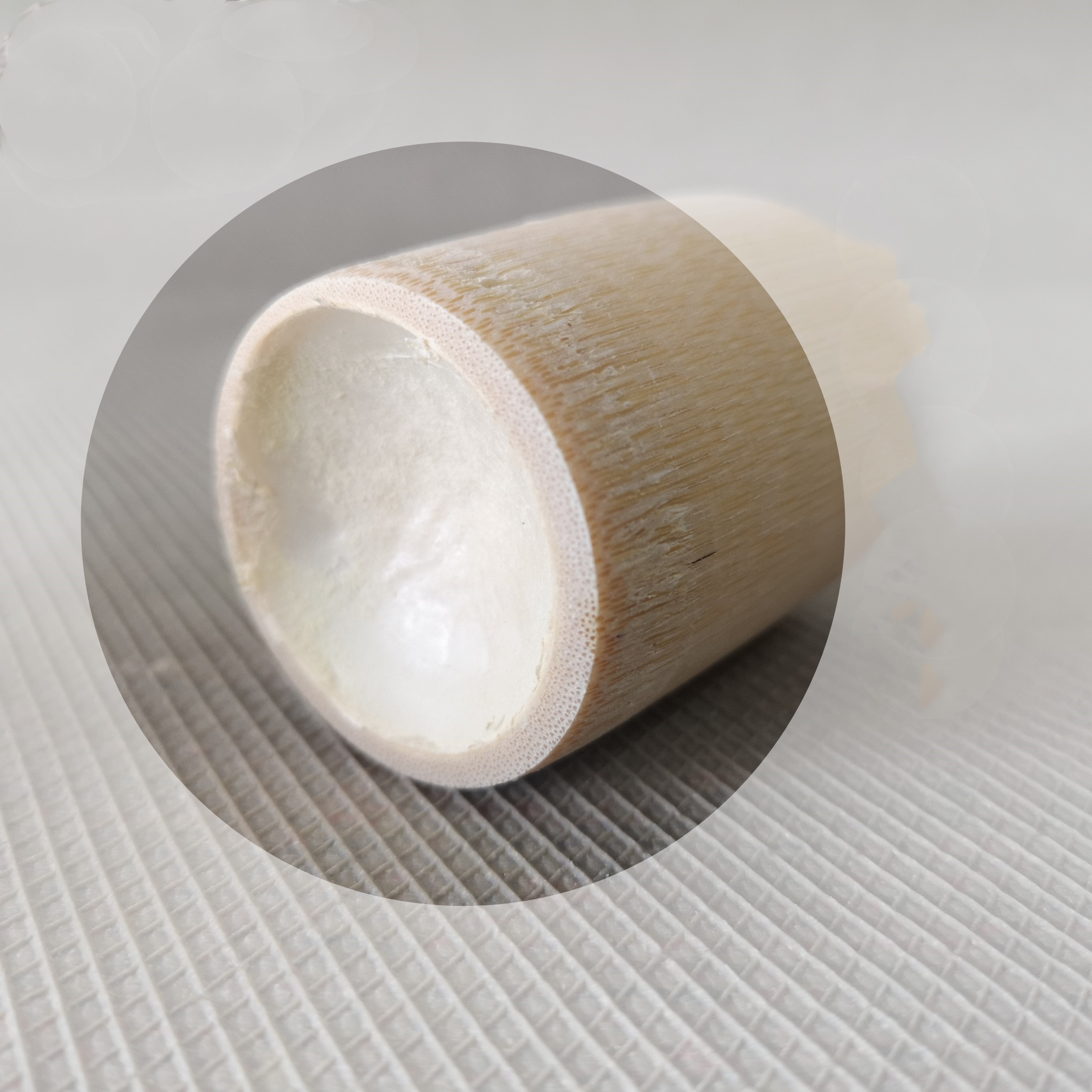 Bamboo Cup 3