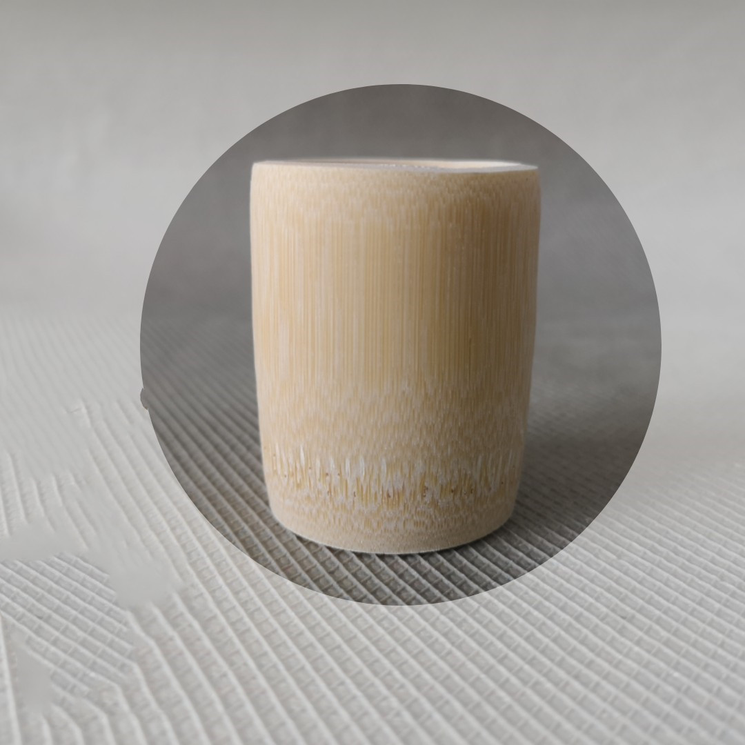 Bamboo Cup 2
