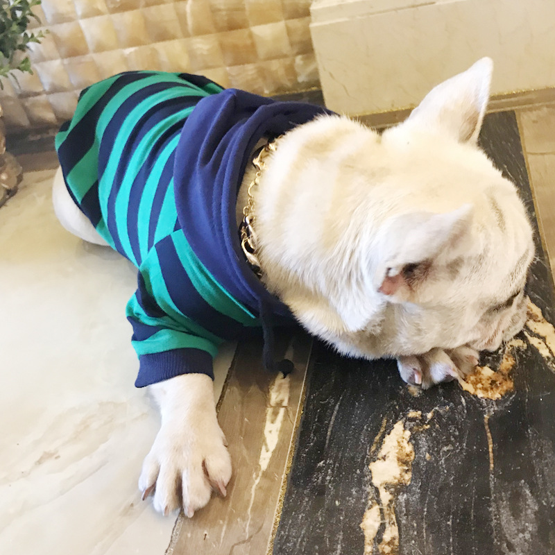 Pet Clothing Image 7