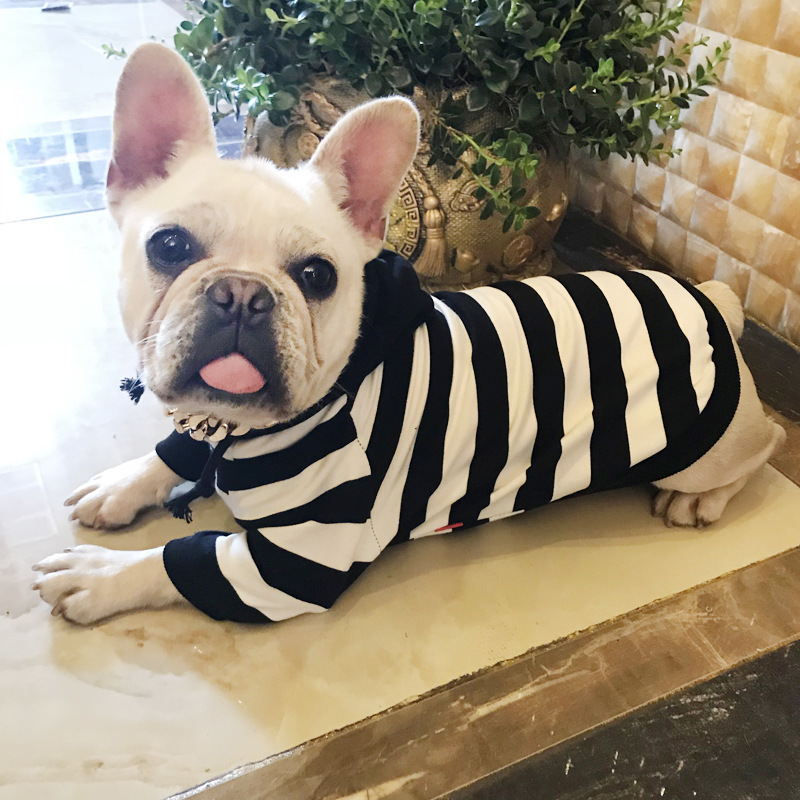 Pet Clothing Image 8