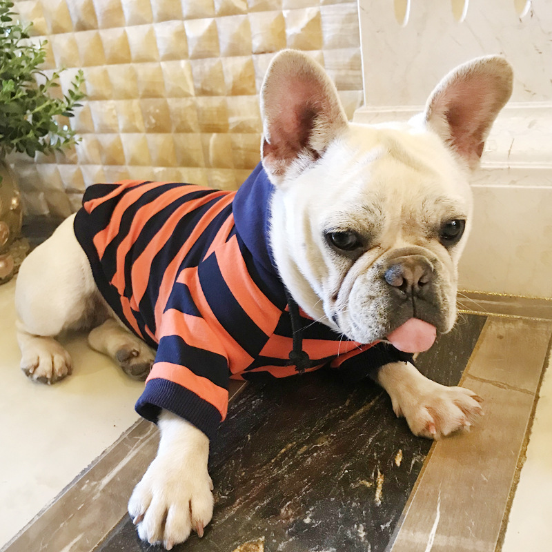 Pet Clothing Image 6