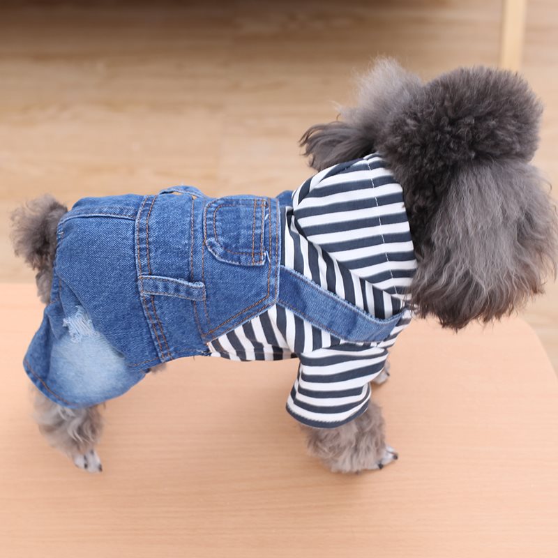 Pet clothing