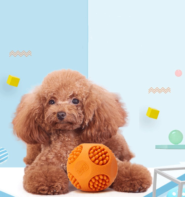 Engaging Pet Toy