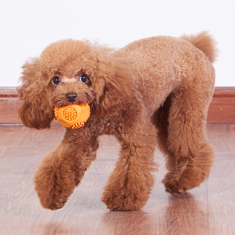 Pet Toy Ball