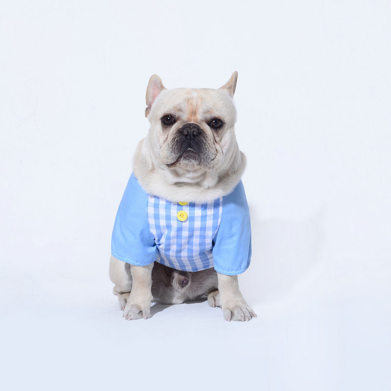 Dog Hoodie Blue