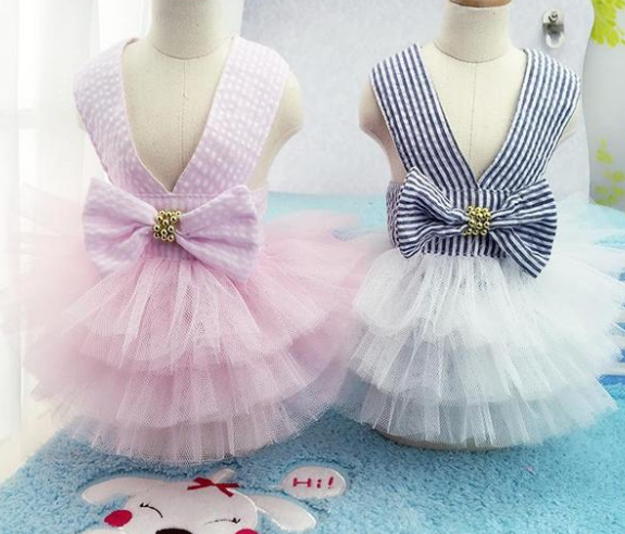 Cute Bunny in Skirt