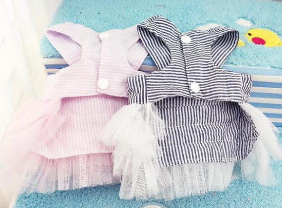 Bunny Outfit Fashion