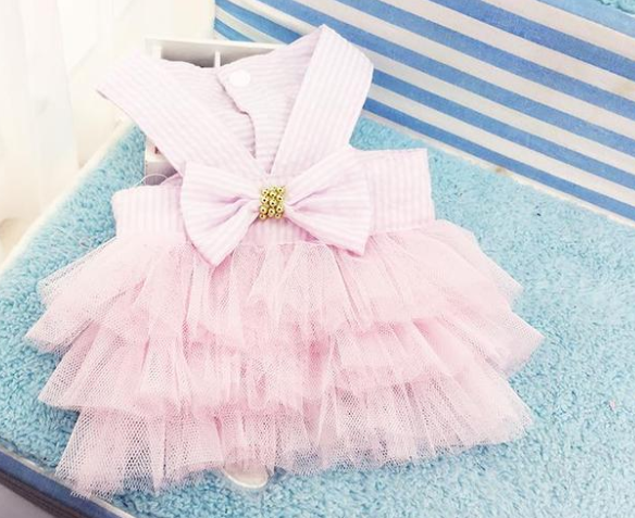 Bunny Skirt Fashion