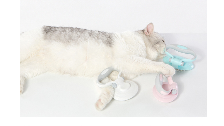 Tangle-Free Grooming
