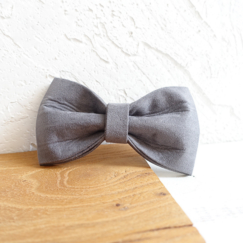 Stylish dog with bow tie