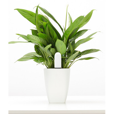 Plant Monitoring Device 3